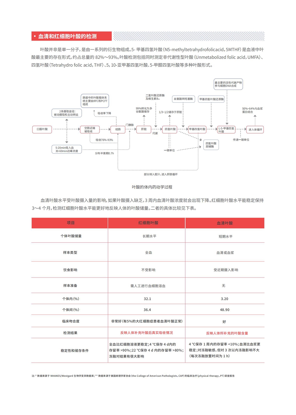 t(x)~_02.jpg